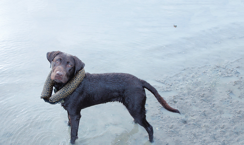 Expert Photo Retoucher NZ, Photoshop Mac Artist